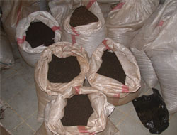 Rize'de 37 Ton Kaçak Çay Ele Geçirildi
